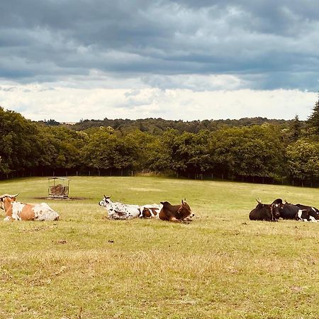 Escapade Dans Un Ranch Lejlighed Le Sourn Eksteriør billede