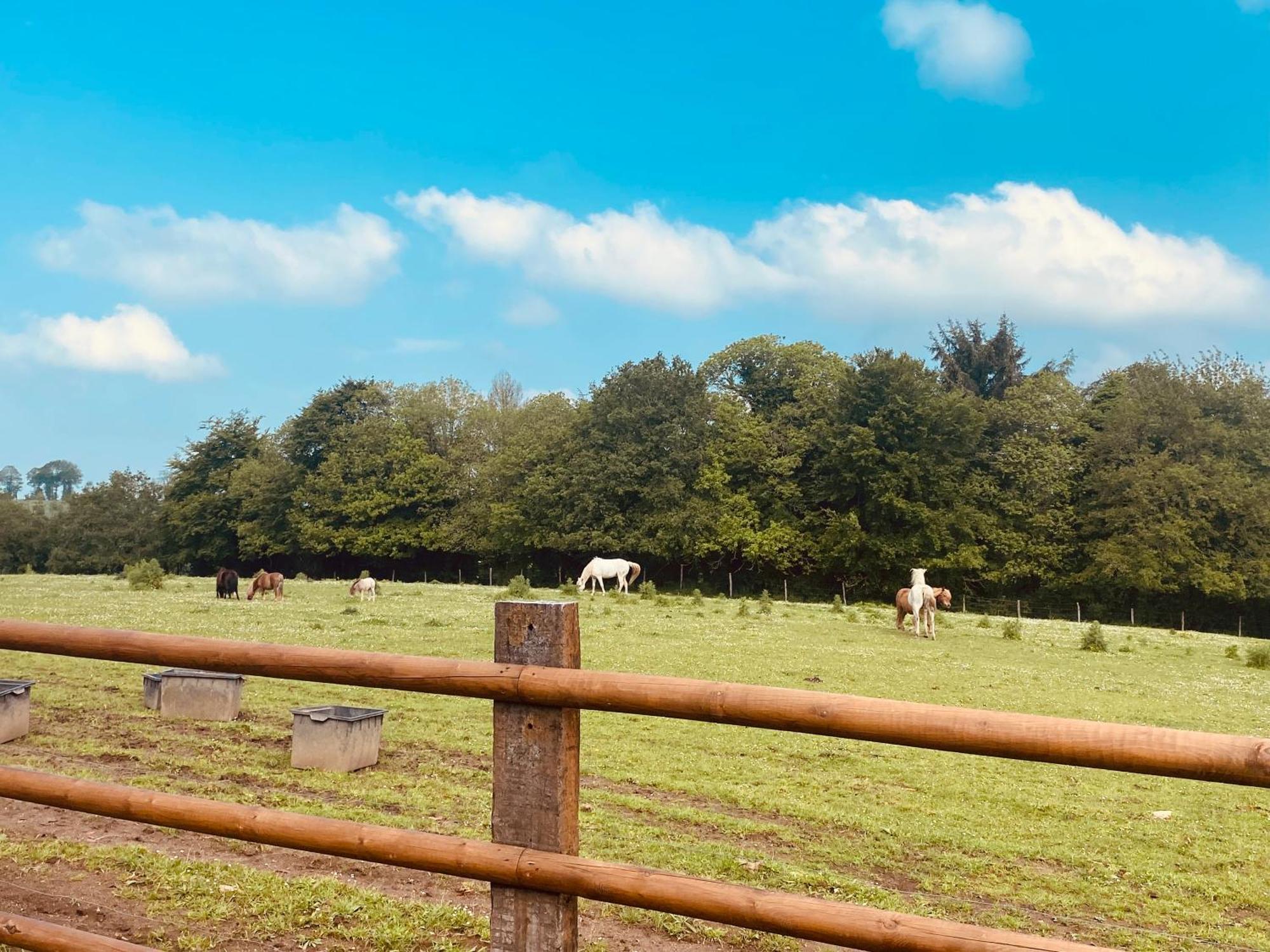 Escapade Dans Un Ranch Lejlighed Le Sourn Eksteriør billede